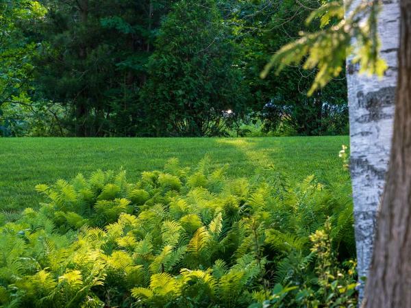 Green Team Lawn Care