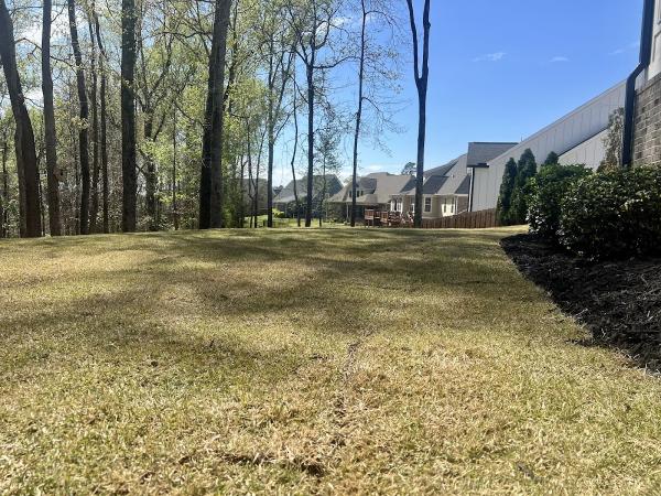 Countryside Landscaping