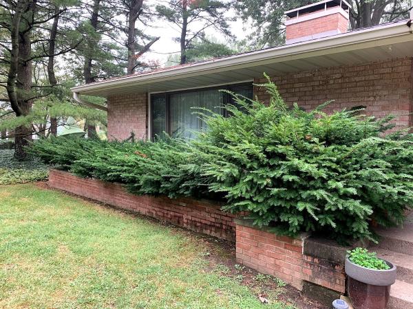 Yard Barber Lawn Care