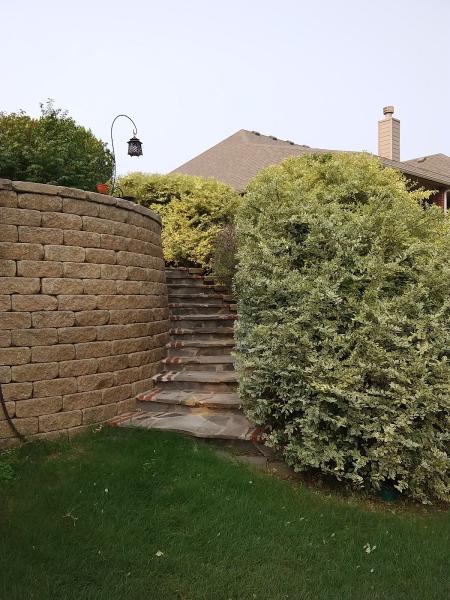 C & C Bush and Tree Trimming