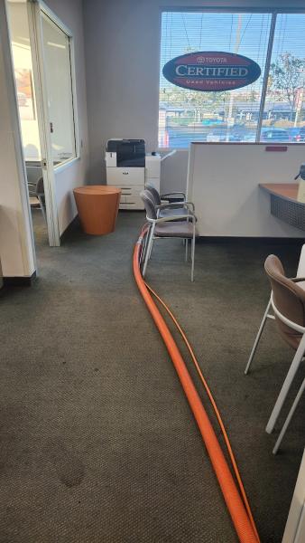 Elite Carpet Care