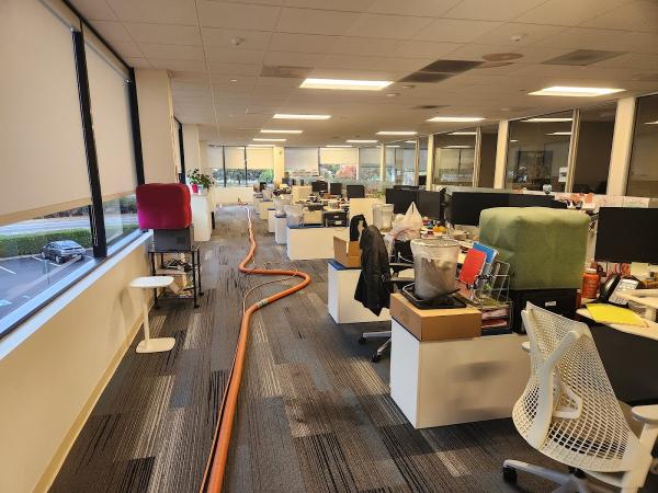 Elite Carpet Care