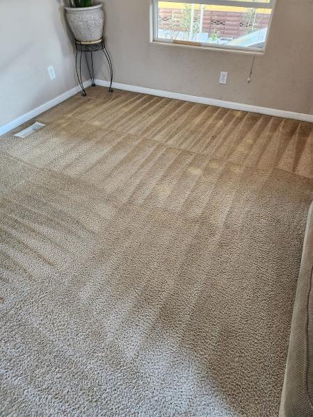 Elite Carpet Care