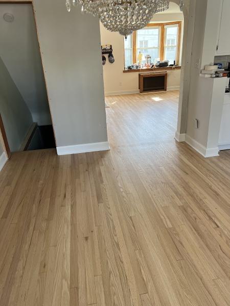 Premier Elite Carpet Cleaning & Floor Care