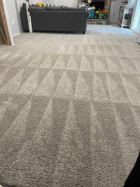 Premier Elite Carpet Cleaning & Floor Care