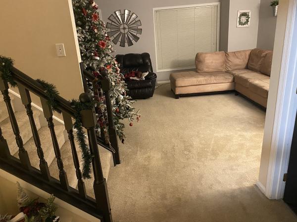 Premier Elite Carpet Cleaning & Floor Care