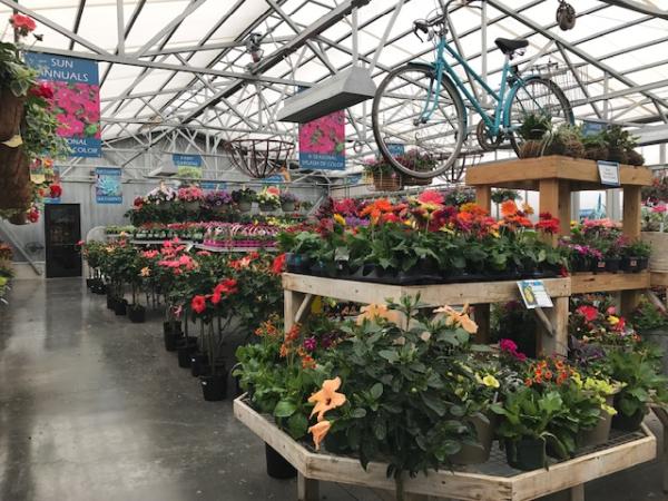 Ted Lare Design Build & Garden Center