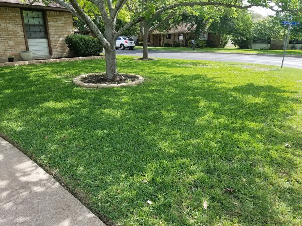 Integrity Lawn and Tree Care