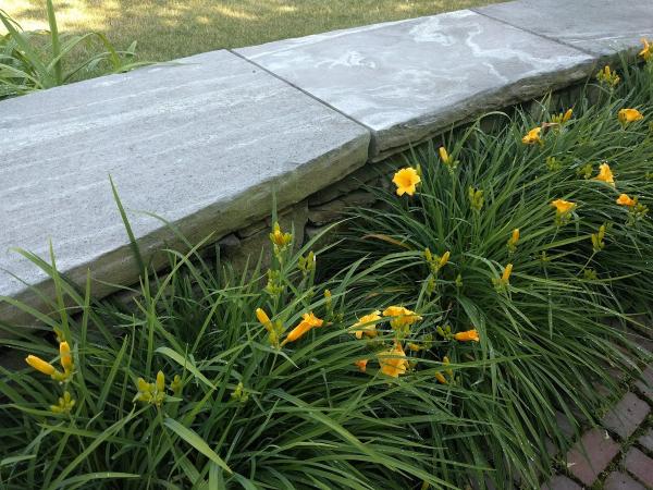 Gnome Landscapes