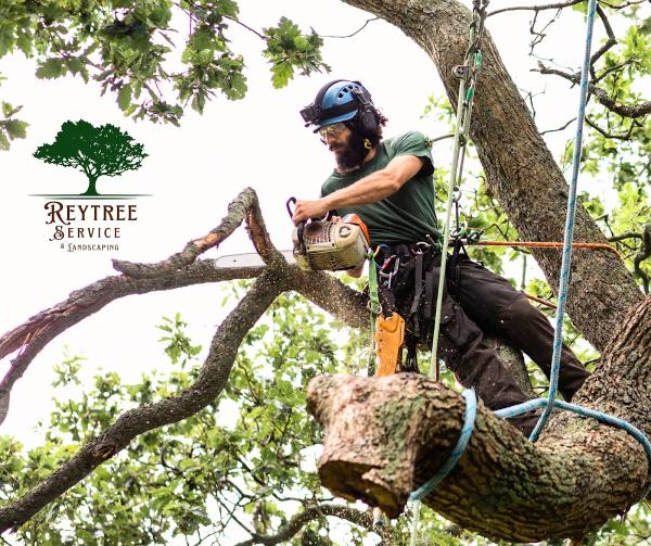 Rey Tree Service Llc