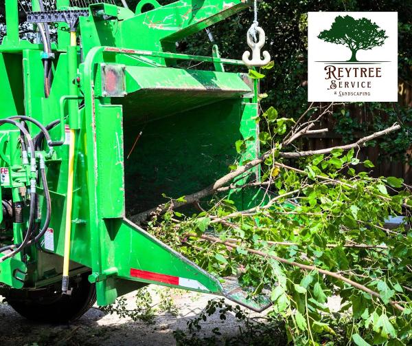 Rey Tree Service Llc