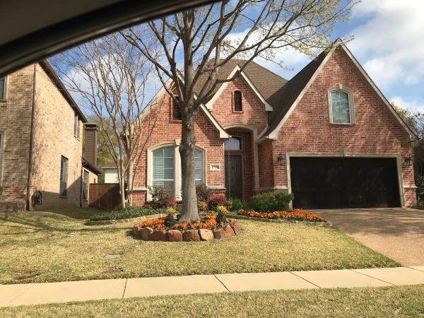 Grapevine Tree Professionals