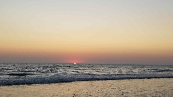 Cindy Larson Bhhs California Realty