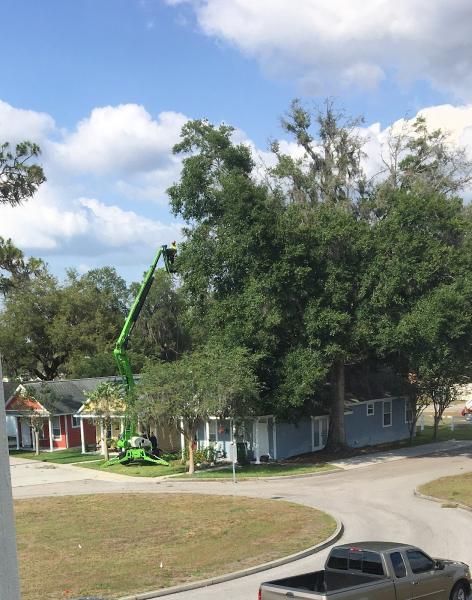 Stutzman Brothers Tree Service