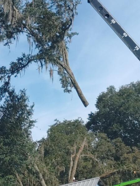 Stutzman Brothers Tree Service
