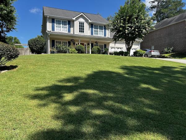 Absolute Green Landscaping