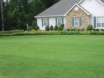 Absolute Green Landscaping