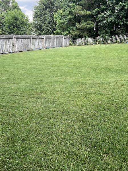Absolute Green Landscaping