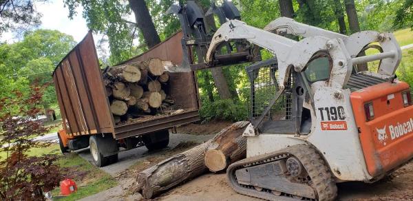 Alvarez Tree Services