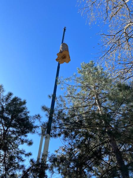 The Tree Surgeon