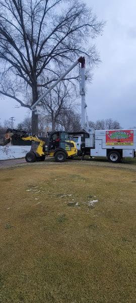 Tri-County Tree and All Firewood