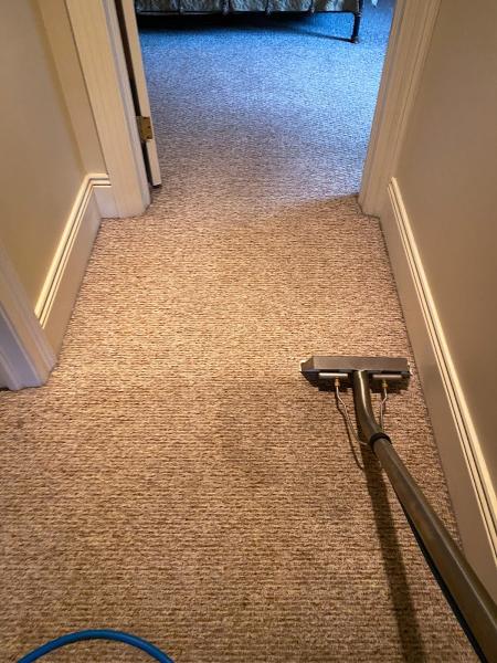 Ecopro Steamers Carpet and Upholstery Cleaning