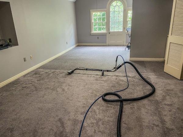 Ecopro Steamers Carpet and Upholstery Cleaning