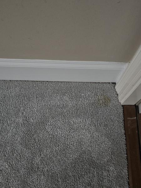 Ecopro Steamers Carpet and Upholstery Cleaning