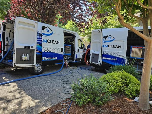 Pro Team Carpet Care