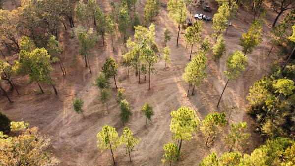 Oak Lake Land Clearing Llc
