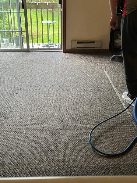 Hi Tek Professional Carpet Care