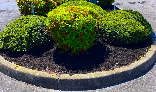 A & P Excavating and Materials