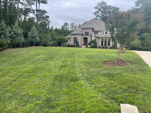 Olmstead Homesteads Inc