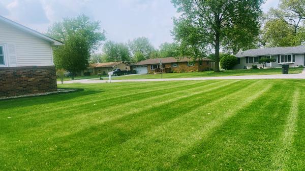 Yard Smart Lawn Maintenance LLC