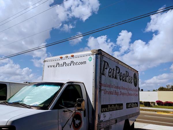 Petpeepee Oriental Rug & Drapery Cleaning From Urine Odor