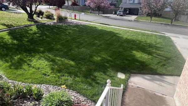 Lawngevity