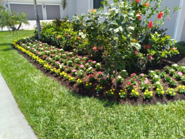 Gilberto Munoz Lawn Maintenance