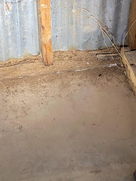 University Termite & Pest Control