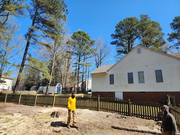 ALL Stumps Plus LLC