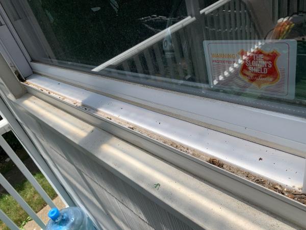 Flawless Window Cleaning