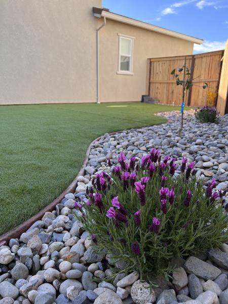 Master Pavers and Landscaping