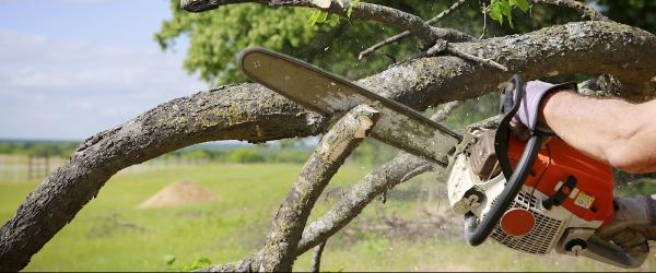 Family Landscaping & Treewerks