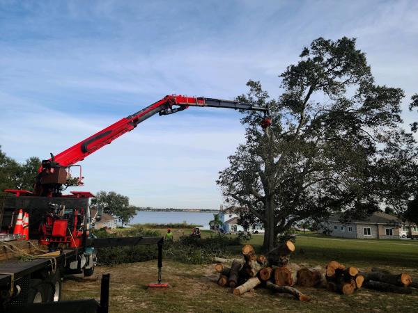 Monkey Business Tree & Crane Service