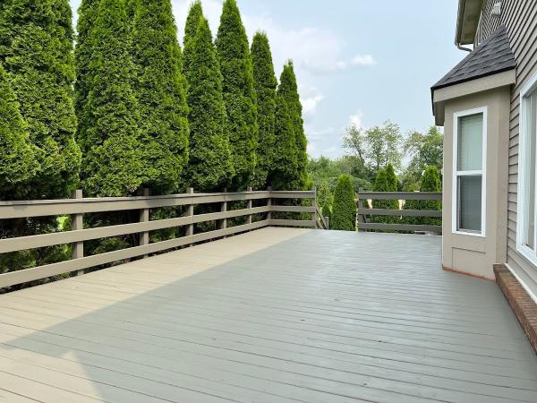 Royalty Deck Restoration