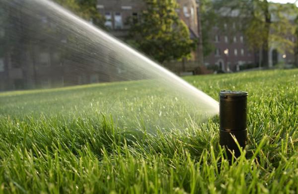 Dickinson Sprinkler & Lawn Seeding