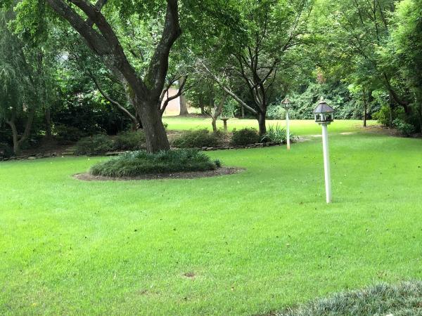 Signature Green West