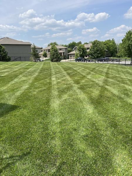 Jesse's Great Lawncare & Landscaping LLC