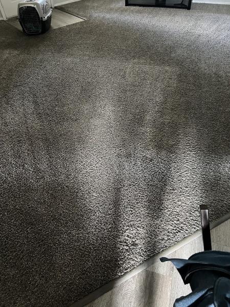 Maxi Discount Carpet Steam
