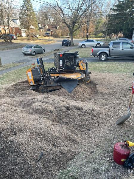 JB Tree Care