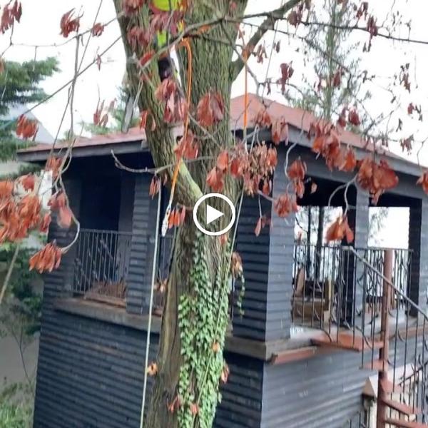 Gerity's Property Maintenance